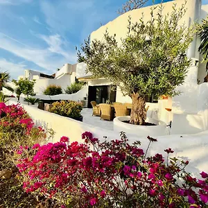 superb-townhouse-in-golden-mile.es-andalucia.com/